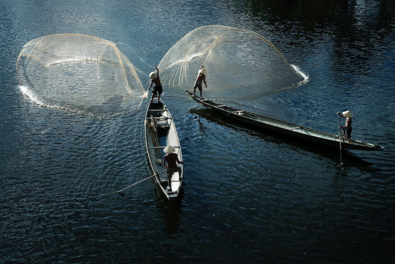 Fishing in the Backwaters